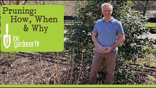 How to Prune and When - Without Fear of Failure