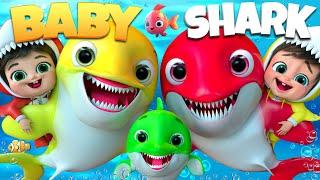 Baby Shark Family + Bingo Dog Song - Nursery Rhymes & Kids Songs #cocomelon #nurseryrhymes#pinkfong