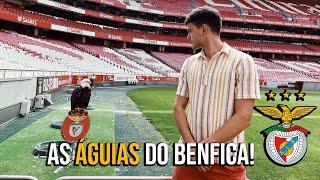 O dia em que eu conheci as Águias do Benfica!