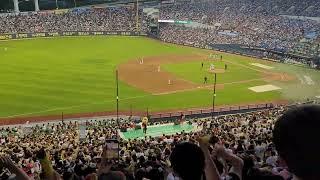 기아없이는 못살아