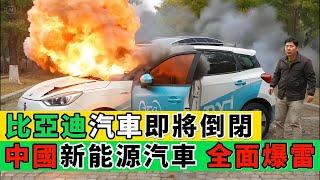 出大事了！比亞迪即將爆雷！股價暴跌、4S店大面積倒閉、員工集體辭職！中國電動車產業鏈，即將崩潰！｜Reaction Video