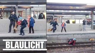 Polizeihund stößt Frau auf's Gleis - Schock am Nürnberger Bahnhof