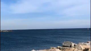 武汉病毒研究所研究员实名举报：王延轶所长～～～是此次祸乱全世界的～～～新冠病毒大流行大t扩散的罪魁祸首！！！～～举报人叫做陈全姣～～～虚虚实实真真假假您自行判断