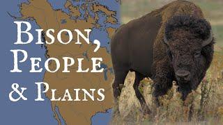 Bison, People, and Plains