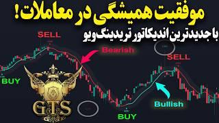 به سود مستمر دست پیدا کنید با جدیدترین اندیکاتور تریدینگ‌ویو | TradingView