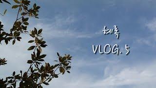 혜록 VLOG. 5 】 자연별곡 | 용지호수 | 보헤미안 랩소디 싱어롱(3차) | 유니클로 쇼핑 | 카페에서 수다