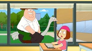 Family Guy Season 19 Episode 13 Full Episode NoZoom - Family Guy 2024 Full Episode NoCuts #1080p