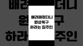 배려해줬더니 원상복구 하라는 집주인 #임대차 #임대차전문 #보증금반환 #전세금반환소송 #전세보증금 #전세금반환 #전세금 #임대차분쟁 #임대차변호사 #사이다임대차 #임대차계약