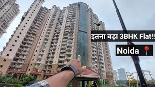 इतना बड़ा 3BHK Apartment नहीं देखा होगा Noida में ||Massive Modified 3BHK Flat For Sale Noida||Saurya