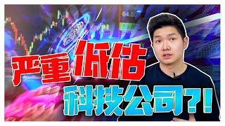 2023 不可以错过的科技股！严重低估!?! 【乐学成长空间-LXInvest】