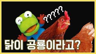 새가 왜 공룡일까요? / 공룡과 새의 진화 역사 / 닭은 왜 공룡일까