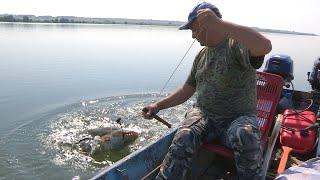 Pecanje soma na Dunavu - Bućka - Brza Palanka | Fishing catfish