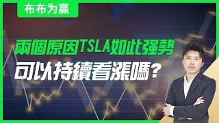 【布布为赢】两个原因TSLA如此强势，可以持续看涨吗？