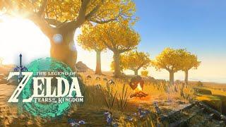  Great Sky Island｜Tears of the Kingdom｜ZELDA Ambience｜Relaxing Zelda BGM