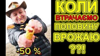 СКІЛЬКИ ВОДИ ПОТРІБНО КУКУРУДЗІ ? КОЛИ НАЙБІЛЬША ВТРАТА ВРОЖАЮ ІЗ-ЗА НЕСТАЧІ ВОЛОГИ? ДМС 2510