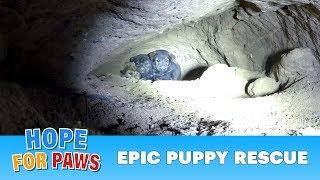 Epic puppy rescue - 18 feet into the earth!!!  Dangerous Hope For Paws rescue! #puppy