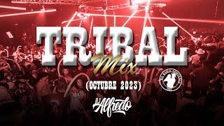 TRIBAL Mix Octubre 2023