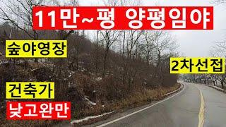 양평임야 2차선접 11만~평 남향 전원생활 숲야영장캠핑교회탠트고기집 힐링숲6차산업 숲가치34억 탄소권598만원 숲카페 숲경영 약용재배 땅과함께(새희망을)경매임야 공매임야 나도땅주인