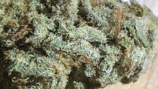 Ghost OG strain review