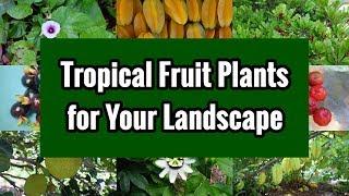 Tropical Fruit Plants for Your Landscape