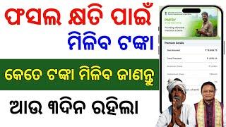 ଫସଲ କ୍ଷତି ପାଇଁ ଚାଷୀଙ୍କୁ କେତେ ଟଙ୍କା ମିଳିବHow to claim crop loss money/Crop loss intimation odisha