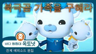 바다 탐험대 옥토넛 - ‍️ 북극곰 가족을 구해라  - 120분+ 편집 - 모음집