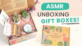 ASMR FEEL-GOOD SUCCULENT GIFT BOX UNBOXING