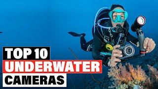 Best Underwater Camera 2024 [Top 10 Picks Reviewed]