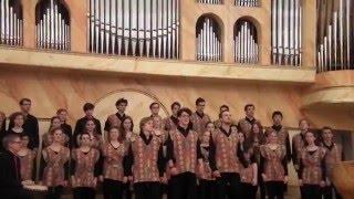 Karlsruher Kammerchor in Dubna 20/04/2016