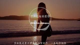 漂洋过海来看你 DJ 版