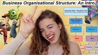 An Intro to Business Organisational Structure!! Let's Analyse Pixar HQ 