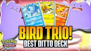 Building the ULTIMATE DITTO Deck!!!【Pokemon TCG Pocket】