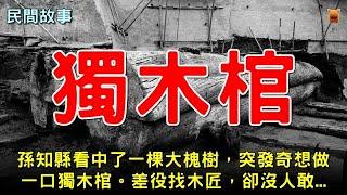 #民間故事 ：孫知縣看中了一棵大槐樹，突發奇想做一口獨木棺。差役找木匠，卻沒人敢【楓牛愛世界】#奇聞異事 #睡前故事 #民間故事 #聊齋故事 #古代奇案