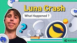 Why Luna Crashed and What Lesson Can We Learn?