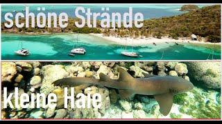 Tobago Cays - schöne Strände - kleine Haie - Segeln in der Karibik