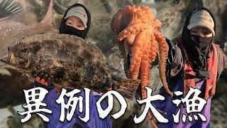 異例の大漁！冬の海でカワハギ大豊漁！ヒラメやタコとイカも登場