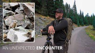 Iconic Places, Hidden Waterfalls and Rare Wildlife!!  |  Colorado Photography