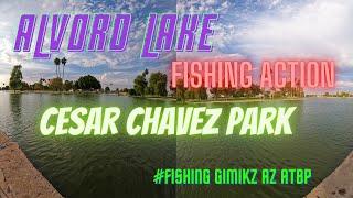 Fishing Alvord Lake (Cesar Chavez Park) not carp/catfish