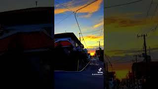 Thin. Japan. Kamikanuki Tamae Town, Numazu City and others.November 27, 2022.