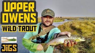 Upper Owens River Fishing | Eastern Sierra | Jigs