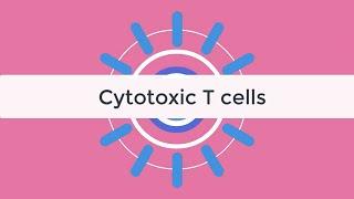 Cytotoxic CD8 T cell Tutorial