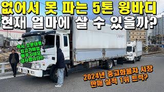 없어서 못 파는 5톤 윙바디 트럭 현재 얼마에 살 수 있을까..? (2024년, 화물차, 수익)