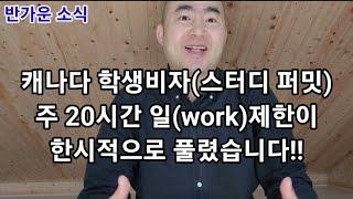 캐나다 학생비자(스터디 퍼밋) 주 20시간 일(work)제한이 한시적으로 풀렸습니다!