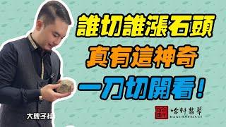 哈軒翡翠| 誰切誰漲石頭，真有這神奇，一刀切開看！#翡翠#玉器#珠寶玉器#玉石#緬甸翡翠#翡翠原石#切石頭