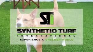 Residential synthetic turf installation step by step