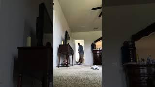 Time Lapse - Steam Medic Carpet Cleaning Spring Hill, FL  #professionalcleaners #carpetsteamcleaning