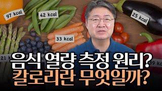 음식의 열량은 어떻게 측정할까? 칼로리와 대사량 이야기