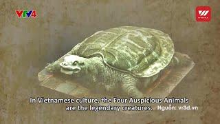 Vietnam Discovery: The Four sacred animal - Tortoise | VTV World