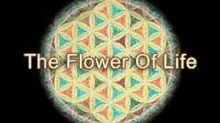 Sacred Geometry 101D: Concentric Circles