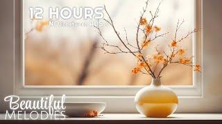 Soothing Sleep Music for Insomnia Relief, Relaxation, and Meditation for Spa and Heart Healing